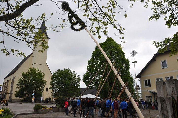 20140501_120552_Altenb_Maibaum.jpg