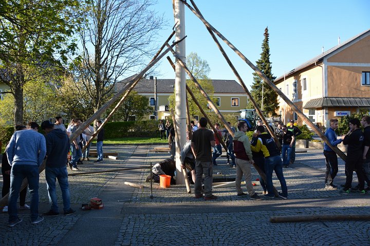 20160429_184526_Maibaum_BK.jpg