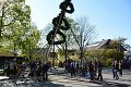 20160429_172809_Maibaum_BK