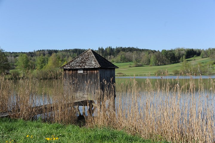 20210511_084828_Weitra.JPG