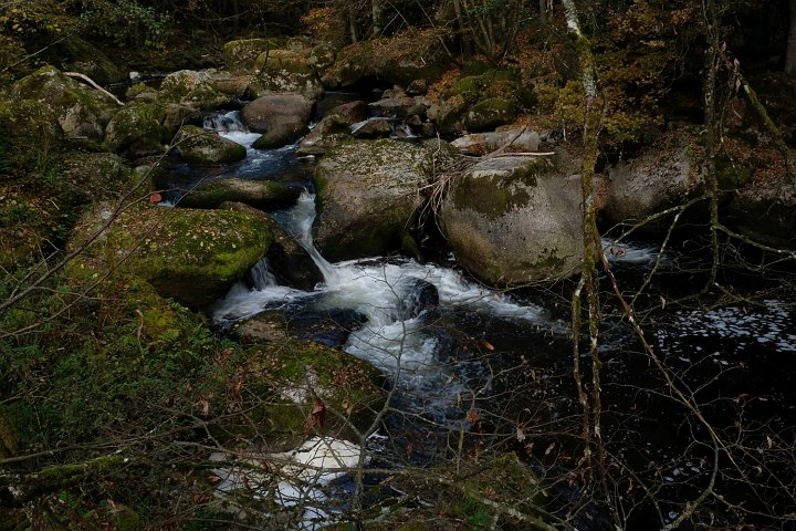 20211026_102946_Aisttal_TF.jpg
