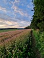 20210915_173630_03_Landschaft_GV