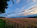 20210915_173630_04_Landschaft_GV