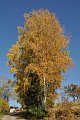 20211028_132029_Herbst_LP