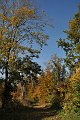 20211028_132123_Herbst_LP