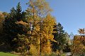 20211028_133933_Herbst_LP