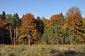 20211028_134943_Herbst_LP