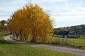 20211031_121503_Landschaft_Wege