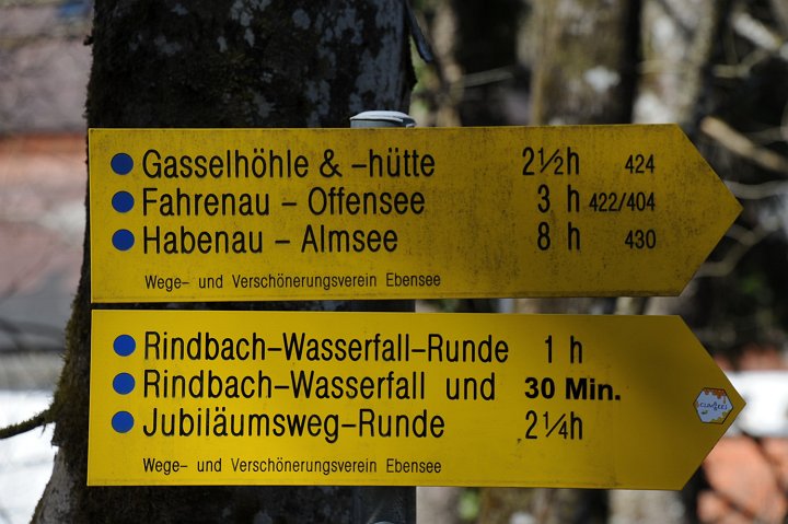 20210330_142302_Rindbach.JPG