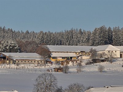 20221218 091545 Winterfotos LP