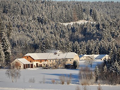 20221218 091856 Winterfotos LP