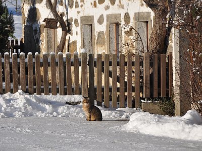 20221218 094905 Winterfotos LP
