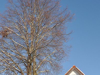 20221218 105700 Windhager Kapelle LP