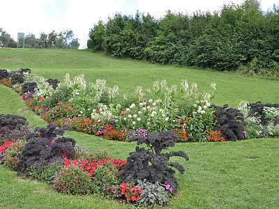 20230810 104454 Wolfsegg Landesgartenschau LP