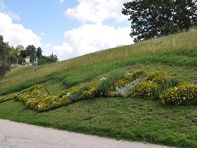 20230810 110727 Wolfsegg Landesgartenschau LP