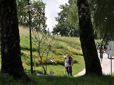 20230810 111851 Wolfsegg Landesgartenschau LP