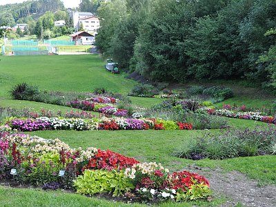 20230810 112424 Wolfsegg Landesgartenschau LP