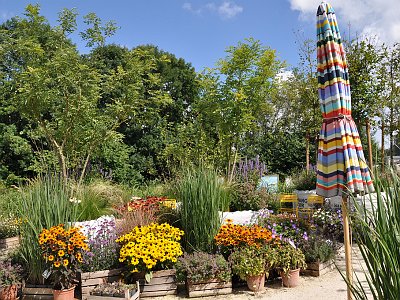 20230810 112537 Wolfsegg Landesgartenschau LP