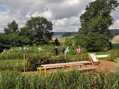 20230810 113027 Wolfsegg Landesgartenschau LP