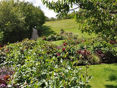 20230810 115435 Wolfsegg Landesgartenschau LP
