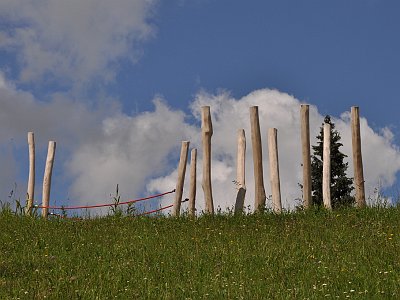 20230810 120049 Wolfsegg Landesgartenschau LP