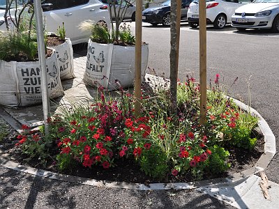 20230810 122457 Wolfsegg Landesgartenschau LP