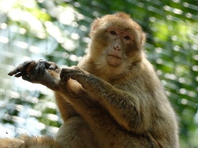 20230618 140701 Tierpark Altenfelden