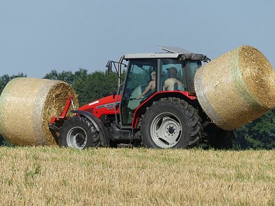 Sommerfotos 05