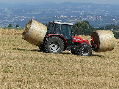 Sommerfotos 08