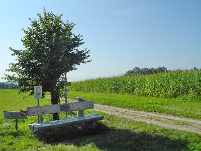 Sommerfotos 22