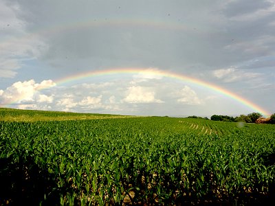 Sommerfotos 23