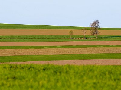 Sommerfotos 31