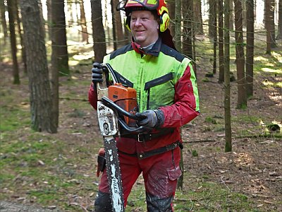 20230304 092812 Maibaum Umschneiden DD