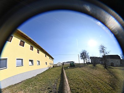 20230304 095450 Maibaum Umschneiden DD