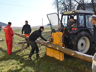 20230304 101934 Maibaum Umschneiden DD