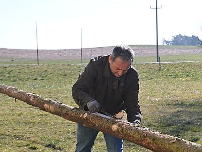 20230304 101950 Maibaum Umschneiden DD