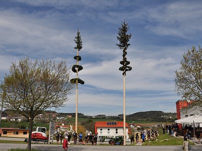 20230501 134005 Altenberger Maibaum LP