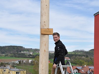 20230501 140741 Altenberger Maibaum LP