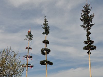 20230501 144149 Altenberger Maibaum LP