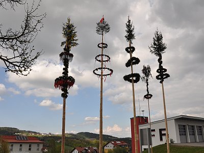 20230503 165154 Altenberger Maibaum LP