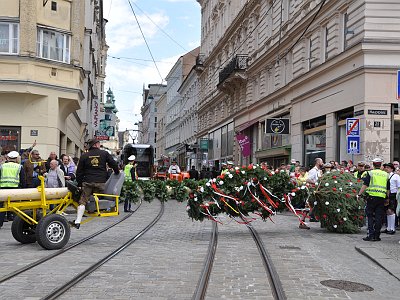 20230429 057 Maibaum Aufstellen Linz