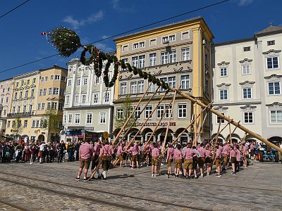 20230429 073 Maibaum Aufstellen Linz