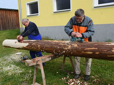 20230427 094927 Maibaum Kraenze LP