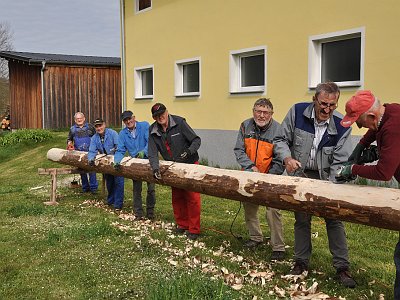 20230427 100224 Maibaum Kraenze LP
