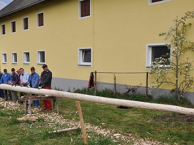20230427 113227 Maibaum Kraenze LP