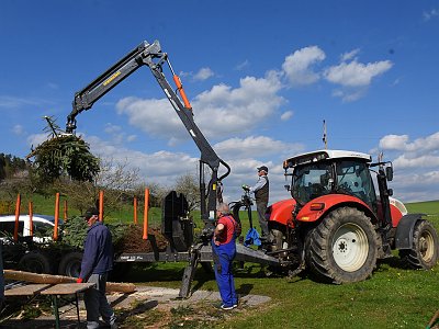 20230427 162252 Maibaum Kraenze LP