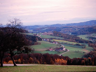 Katzgrabenstrasse