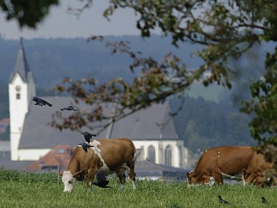 Kulm in Richtung Kirche