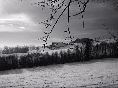 Niederbairing Hinterberger