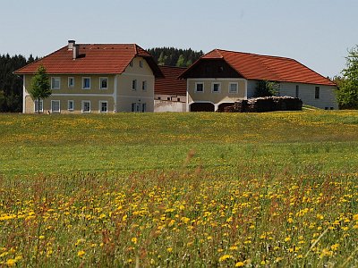 Pargfried Wetterberger